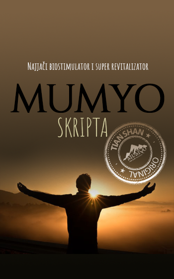 https://www.mumyo.com/wp-content/uploads/2023/05/book-cover2.png